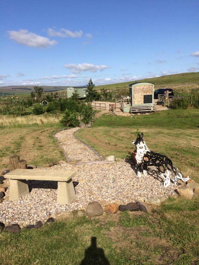 בלינגהם The Buteland Stop Rosie Off Grid Shepherds Hut מראה חיצוני תמונה