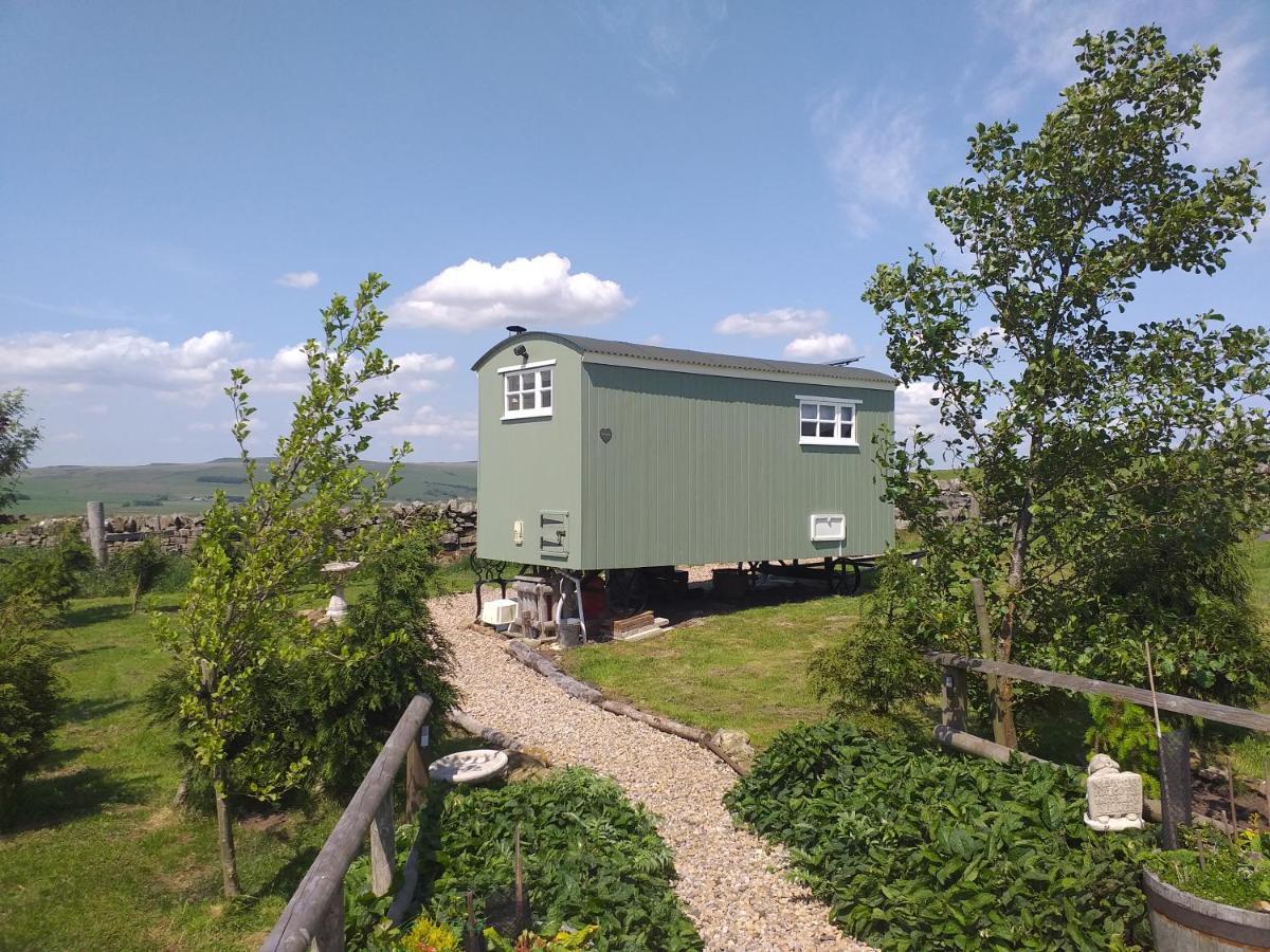 בלינגהם The Buteland Stop Rosie Off Grid Shepherds Hut מראה חיצוני תמונה