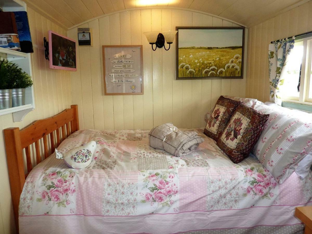 בלינגהם The Buteland Stop Rosie Off Grid Shepherds Hut מראה חיצוני תמונה