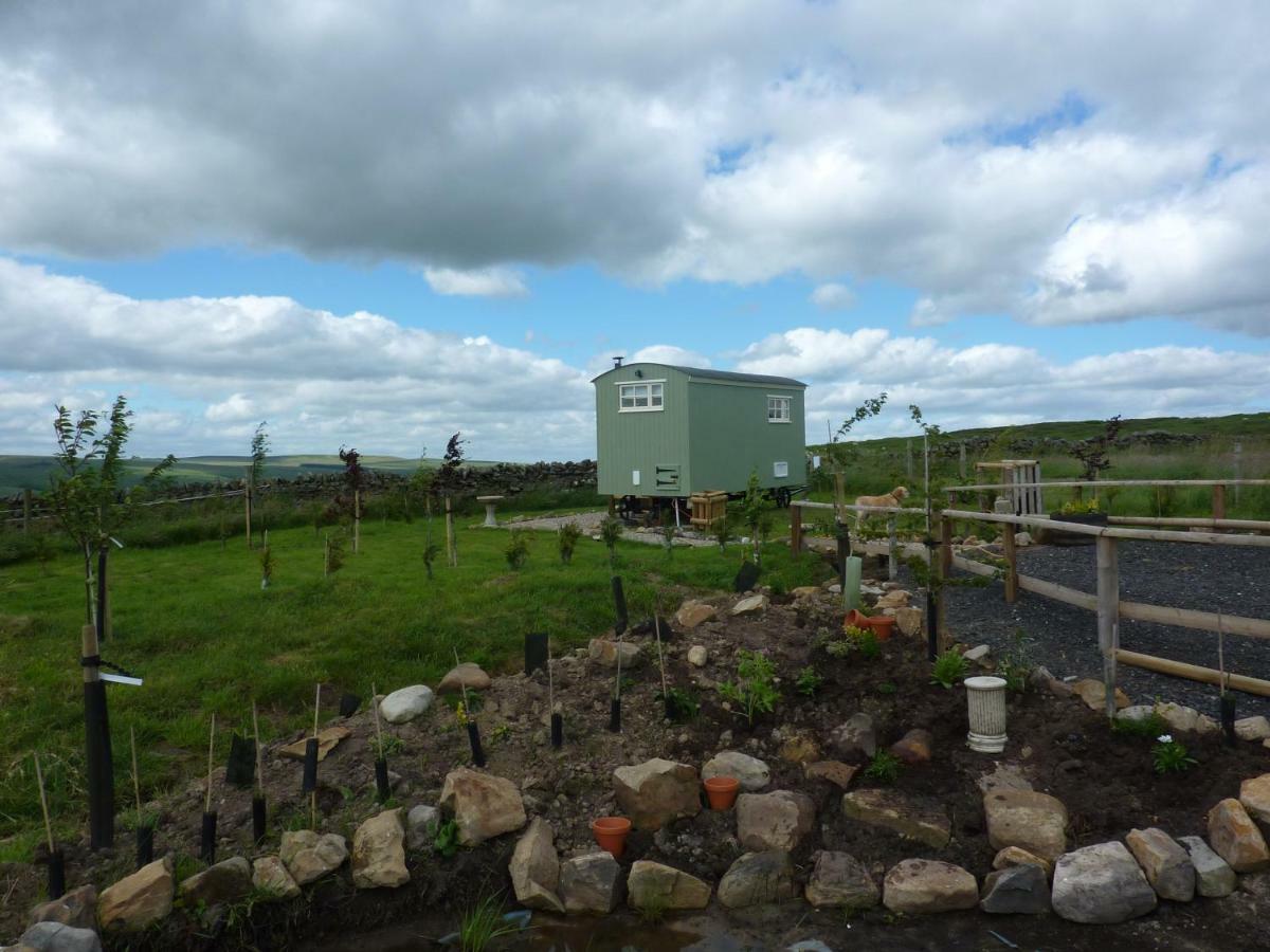 בלינגהם The Buteland Stop Rosie Off Grid Shepherds Hut מראה חיצוני תמונה